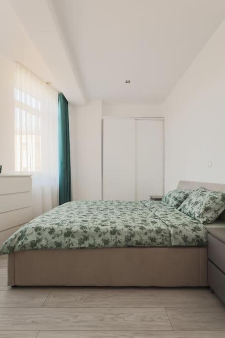 Ambassador Apartment Baia Mare Luaran gambar